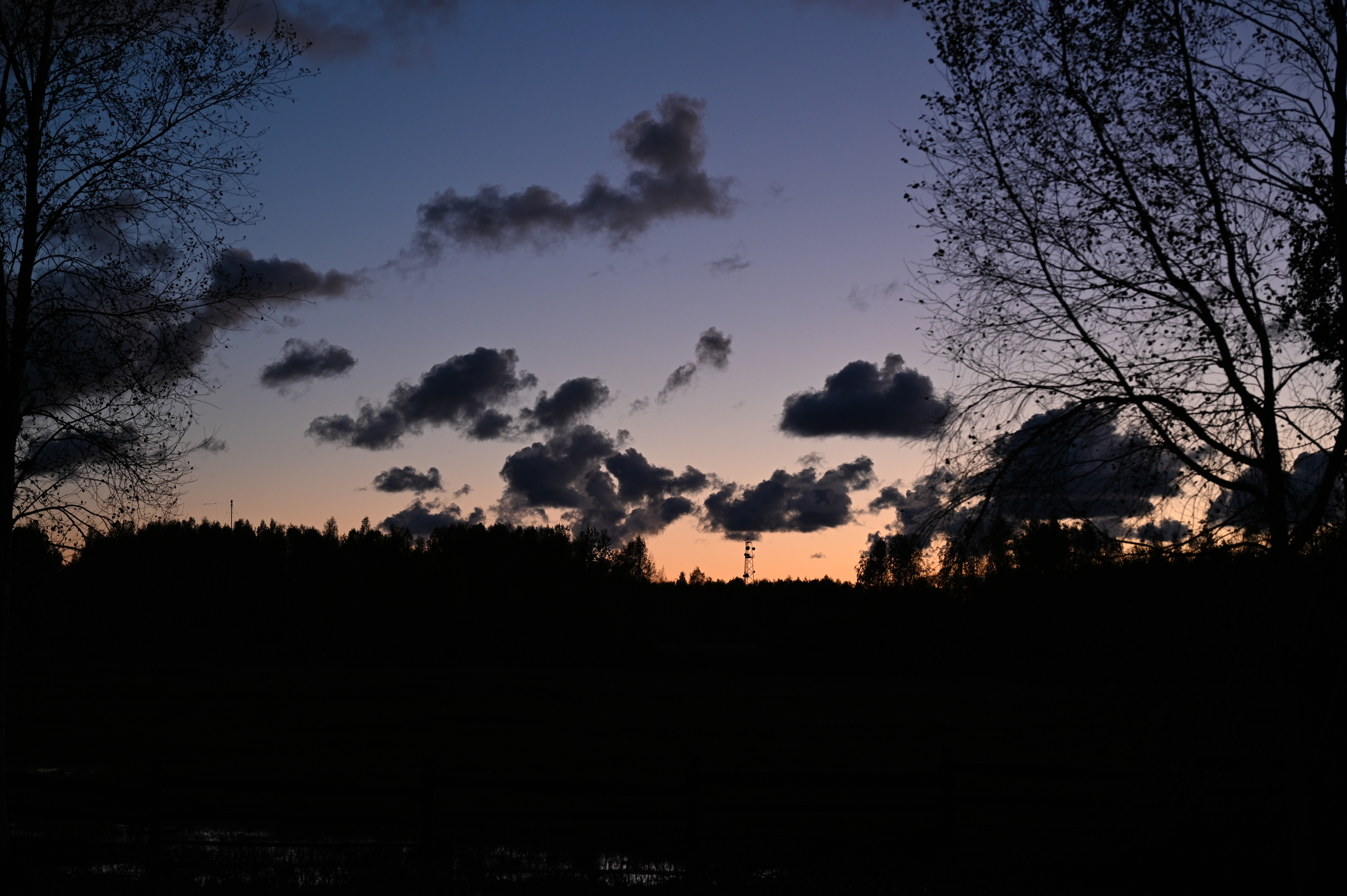 2025/10/18 - walk/DSC_0650.JPG